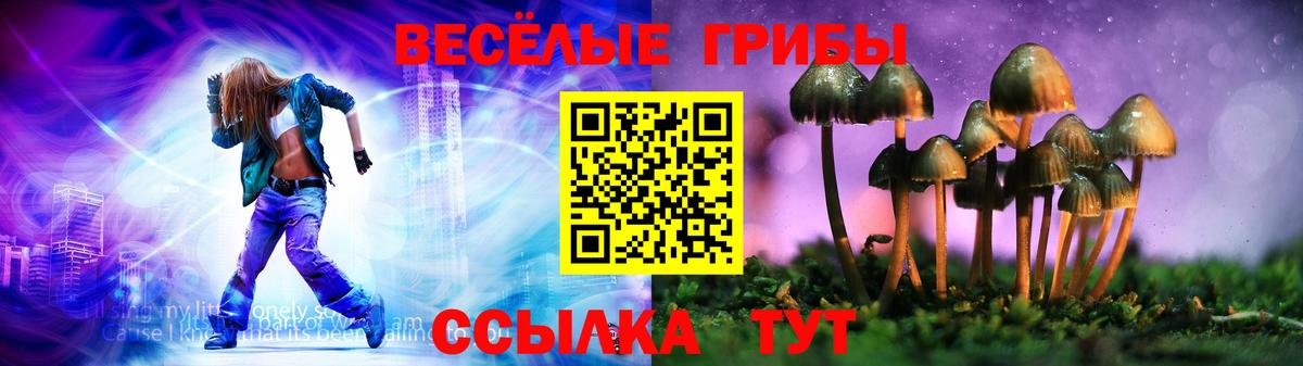 где купить наркоту  Вход с VPN  Воронеж  Псилоцибиновые грибы ЛСД 