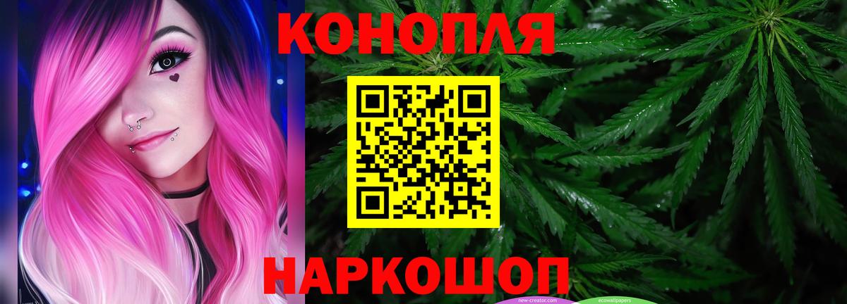 Бошки марихуана SATIVA & INDICA  Вход с VPN  Бошки Шишки план  Марихуана семена  Воронеж  Каннабис White Widow 